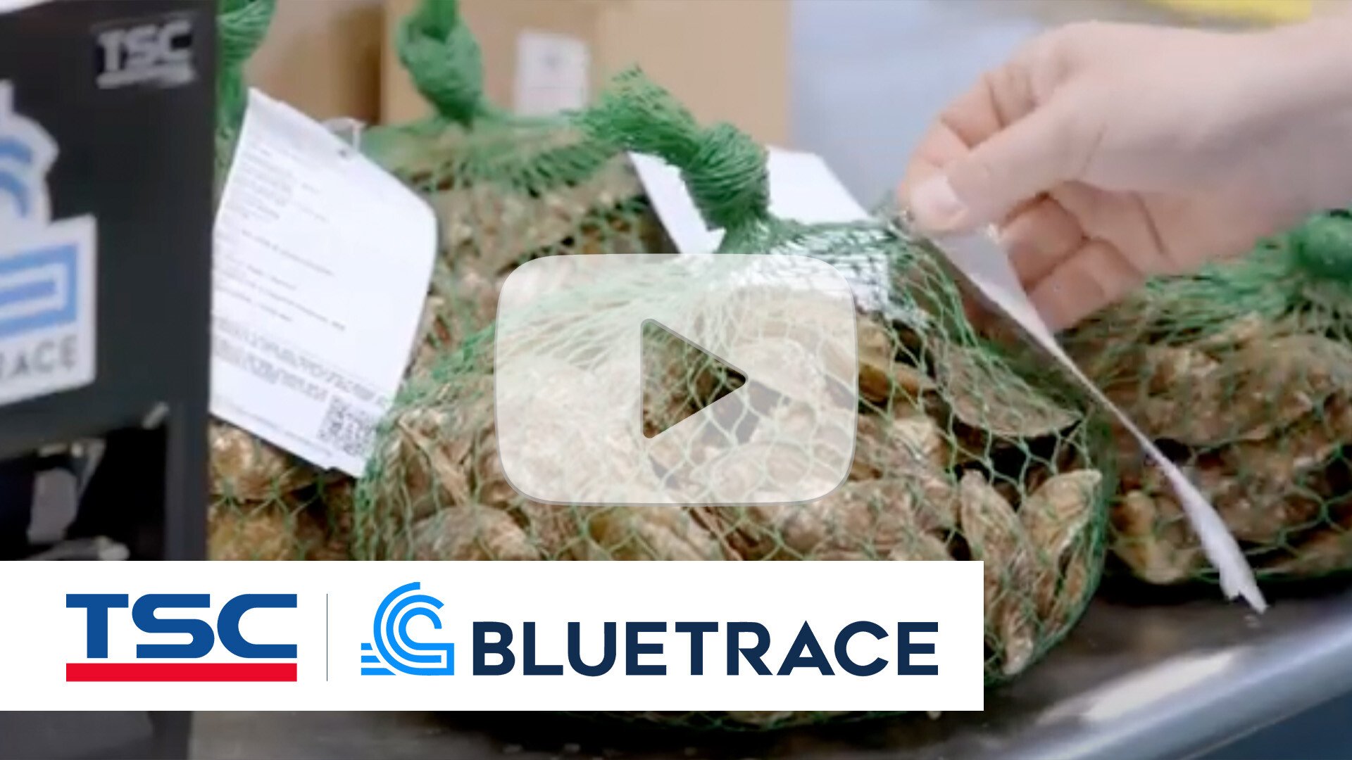 BLUETRACE-video-screen